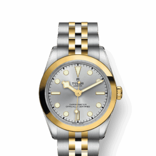 Tudor Black Bay 36 S&G, Stainless Steel and 18k Yellow Gold, Ref# M79643-0002