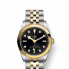 Tudor Black Bay 31 S&G, 316L Stainless Steel and 18k Yellow Gold, Ref# M79603-0006
