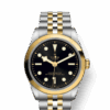 Tudor Black Bay 36 S&G, 316L Stainless Steel and 18k Yellow Gold, Ref# M79643-0001