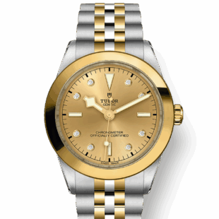 Tudor Black Bay 39 S&G, 316L Stainless Steel and 18k Yellow Gold, Ref# M79663-0008